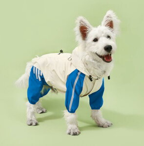 p CR[g SgJo[ Sh lrJo[ 4Ǎ^ ybgEFA J U CR[g t[cvg h  ʋC R h? ˃e[v \ J AEghA 