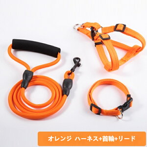 pn[lXZbg h ϖՃiC ڑ TCY\ ^ ^ ^ q gCv[h S[fgo[ U S݌v