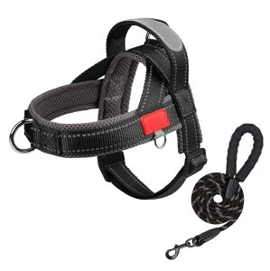 pn[lX ChXgbv h ϖ ʋCbV TCY\ J[ubN ^ ^ ^ U AEghA