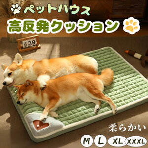 ybgxbh ^ ^ ^ Lp NbV ӂ _炩 ̈U  OJo[ ې ~ g  ybgnEX xbh }bg 4TCY Mtg