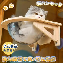 楽天市場】クリアボール（猫用品｜ペット・ペットグッズ）の通販