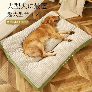 pxbh pxbh Ᏸ\t@[ 􂦂 ~ ̈Uŏh~ 悹t V VjA Q pi ݕȑ΍ vȃE^f ybgxbh LΉ