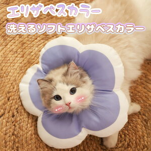 GUxXJ[ Lp \tg h[ic^ _炩 􂦂  rߖh~ Ђh~ Ags[ q ی y ߉\ NbV pPA D ~h~ ی  