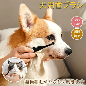 犬用歯ブラシ 犬用ハブラシ はぶらし 歯磨 き超極細毛 フサフサ 痛くない 猫 歯ブラシ 猫用歯ブラシ 猫用ハブラシ 小型犬 ペット PET ペット用 動物 やわらか やわらかめ 極細 低刺激 小さい