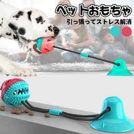 犬 おもちゃ ボール 噛む 引っ張るゲーム 玩具 吸盤 ペット用 柔らかい 投げ ひとり遊び 留守番 ストレス解消 運動不足 壊れにくい 丈夫 頑丈 小型犬 中型犬 大型犬 遊び 動く 室内 部屋 室外 アウトドア 日常 ペットとコミュニケーション 2色