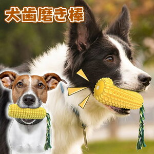    ߋ ybgp Ƃ낱fUC ЂƂV  XgX ^s ɂ S  v ϋv ^ ^ ^ V    O 