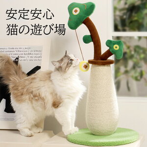 ܂Ƃ ܖ L ܂Ƃ ܖ |[ ؐ ꊪ VRf u 33*33*67cm Lbgc[  Lpi LJtF  CeA 킢