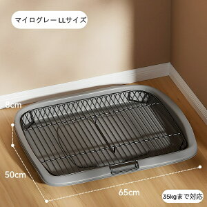 LgC}bg }bg 􂦂 TCY  ~ |yX gCXebv LgCpi L}bg p h~  Vv ybgpi