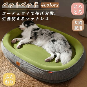  ybg }bgX ̈U R[fC p hbO 􂦂 xbh  ybgxbh hbOxbh  ƂƂ pxbh  ܂ 悹 v  o[Vu 