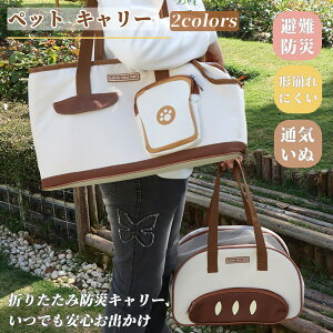 ybg L[ obO L  ܂肽 V_[ pbh ^L ^L ^L ^ ^   ybgL[bN ʋC  ˂ LL[obO L[o