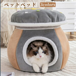 ybgnEX ybgxbh ~p  Lxbh xbh nEX h[^ LnEX h[nEX Lpi L xbh xbh ACXN[ LbgnEX ΍ ۉ Lp 