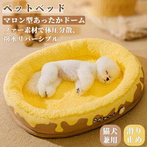  ybg }bgX ̈U p hbO 􂦂 xbh t@[f Jo[ ybgxbh  ƂƂ hbOxbh pxbh 悹 o[Vu I[V[Y ps[ 