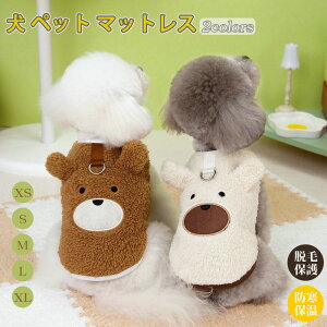 EFA  N}   N}fUC  g N}{A N xXg ܂ gCv[h ~ ~ ` hbOEFA   ܂