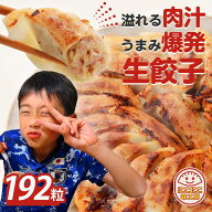 冷凍生餃子192個 餃子 生餃子 ぎょうざ ギョウザ ギョーザ 冷凍食品 食品 惣菜 中華惣菜 点心 中華 中華…