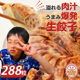 冷凍生餃子288個 餃子 生餃子 ぎょうざ ギョウザ ギョーザ 冷凍食品 食品 惣菜 中華惣菜 点心 中華 中華点心 大人気冷凍商品 送料無料 プレゼント 人気