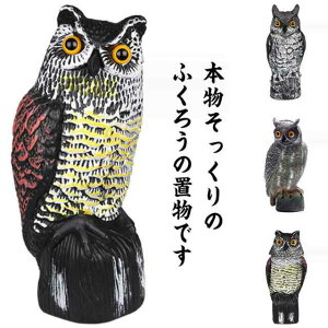 񂪓 ΍ 悯ObY Ƃ悯 悯ObY  悯 u  x_   JX悯 JX