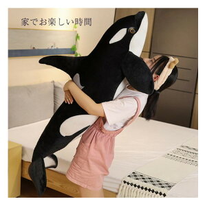 V` NW  ʂ  V`  ~@ 傫 킢 Cm@@_炩 ӂӂ q ޏ FB j a@LO 蕨 v[g Mtg 