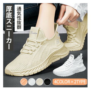 Xj[J[ fB[X jbgn EH[LO jO g[jOV[Y y X|[c V[Y W ^C Xb| bVf ₷ ɂ  킢 