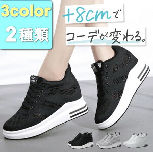  Xj[J[ Xj[J[ fB[X C\[Xj[J[ IVXj[J[ C H~  ʊw nCJbg ₷ ꂢ  8cm y 26.5cm V[NbgV[Y _b