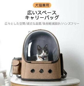 LL[ L[obO KpΏہF10Lȓybg ybgbN ybgL[ L[obO Lp LXy[XLpL[ LpobO ybgpbNTbN ^