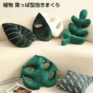 tσNbV   ΂̐A  w k  CeA G \t@[  ԗp  Q j Mtg v[g 蕨
