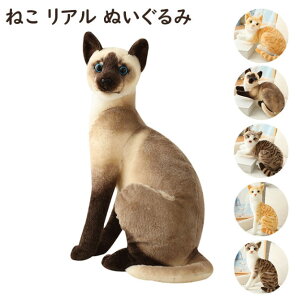 L ʂ A ˂    lR ˂ CAT   Aj} q ̎q j̎q@j a NX}X Mtg v[g