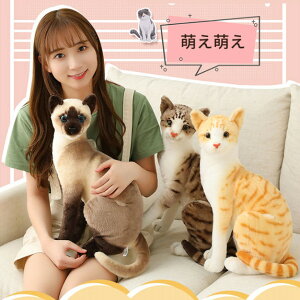V L ʂ A ˂    lR ˂ CAT   Aj} q ̎q j̎q@j a NX}X Mtg v[g