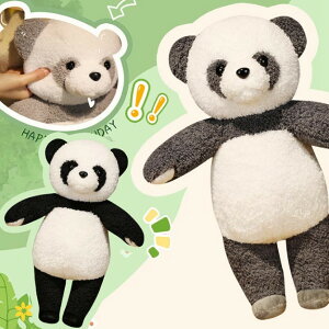 V 킢 p_ ʂ ӂӂ  Aj} F  l`   n CeA D YQ qa j v[g 50cm