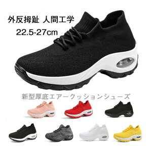 V^GA[NbVV[YAnCq[AXgb`JWAwlCAV^GA[NbVV[Y 6cm fB[X Od lԍHw GA[NbVV[YV^ 