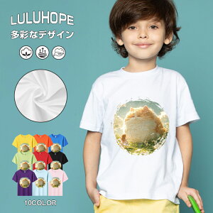 tVc LbY j̎q ̎q ǂ jZbNX @L@q Vc ʁ@ ˂D@^ ct ւ  ĕ 110|150@vg Y fB[X Rbg Jb