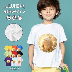 tVc LbY j̎q ̎q ǂ jZbNX @L@q Vc ʁ@ ˂D@^ ct ւ  ĕ 110|150@vg Y fB[X Rbg Jb