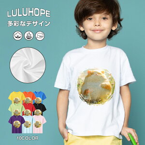 tVc LbY j̎q ̎q ǂ jZbNX @L@q Vc ʁ@ ˂D@^ ct ւ  ĕ 110|150@vg Y fB[X Rbg Jb