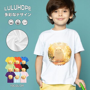 tVc LbY j̎q ̎q ǂ jZbNX @L@q Vc ʁ@ ˂D@^ ct ւ  ĕ 110|150@vg Y fB[X Rbg Jb