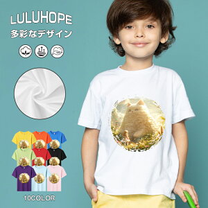 tVc LbY j̎q ̎q ǂ jZbNX @L@q Vc ʁ@ ˂D@^ ct ւ  ĕ 110|150@vg Y fB[X Rbg Jb