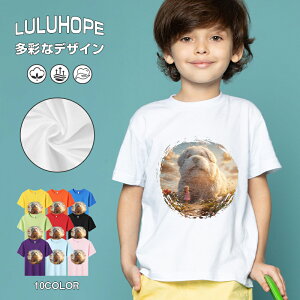 uX[p[SALEzv tVc LbY j̎q ̎q ǂ jZbNX @L@q Vc ʁ@ ˂D@^ ct ւ  ĕ 110|150@vg Y f