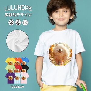 tVc LbY j̎q ̎q ǂ jZbNX @L@q Vc ʁ@ ˂D@^ ct ւ  ĕ 110|150@vg Y fB[X Rbg Jb