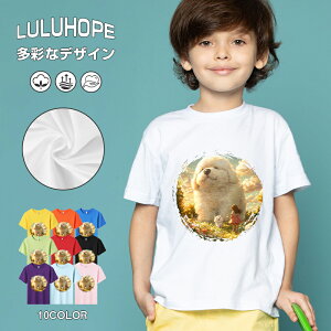 tVc LbY j̎q ̎q ǂ jZbNX @L@q Vc ʁ@ ˂D@^ ct ւ  ĕ 110|150@vg Y fB[X Rbg Jb