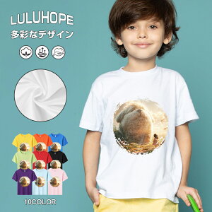 tVc LbY j̎q ̎q ǂ jZbNX @L@q Vc ʁ@ ˂D@^ ct ւ  ĕ 110|150@vg Y fB[X Rbg Jb