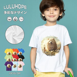 tVc LbY j̎q ̎q ǂ jZbNX @L@q Vc ʁ@ ˂D@^ ct ւ  ĕ 110|150@vg Y fB[X Rbg Jb