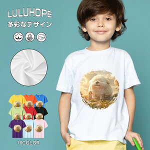 tVc LbY j̎q ̎q ǂ jZbNX @L@q Vc ʁ@ ˂D@^ ct ւ  ĕ 110|150@vg Y fB[X Rbg Jb