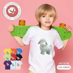 uX[p[SALEzv TVc LbY j̎q ̎q ǂtVc jZbNX r Ђ  q Vc ^ ct ւ ȃVc ĕ 110|150@킢vg Rb