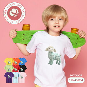 uX[p[SALEzv TVc LbY j̎q ̎q ǂtVc jZbNX r Ђ  q Vc ^ ct ւ ȃVc ĕ 110|150@킢vg Rb