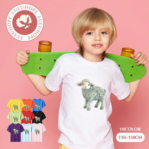 uX[p[SALEzv TVc LbY j̎q ̎q ǂtVc jZbNX r Ђ  q Vc ^ ct ւ ȃVc ĕ 110|150@킢vg Rb