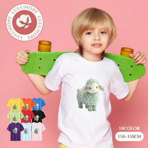 uX[p[SALEzv TVc LbY j̎q ̎q ǂtVc jZbNX r Ђ  q Vc ^ ct ւ ȃVc ĕ 110|150@킢vg Rb