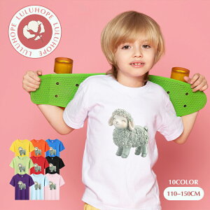 uX[p[SALEzv TVc LbY j̎q ̎q ǂtVc jZbNX r Ђ  q Vc ^ ct ւ ȃVc ĕ 110|150@킢vg Rb