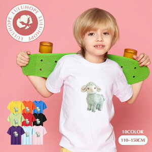 uX[p[SALEzv TVc LbY j̎q ̎q ǂtVc jZbNX r Ђ  q Vc ^ ct ւ ȃVc ĕ 110|150@킢vg Rb