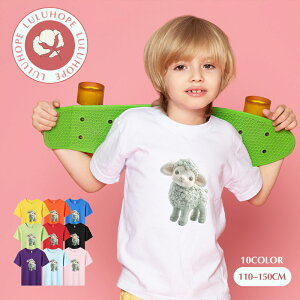 uX[p[SALEzv TVc LbY j̎q ̎q ǂtVc jZbNX r Ђ  q Vc ^ ct ւ ȃVc ĕ 110|150@킢vg Rb