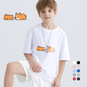 tVc TVcLbY j̎q ̎q ǂ jZbNX u[ q ۈ牀 ^ ct ւ ĕ 傫TCYTVc Y fB[X  Rbg Jbg\[ uh