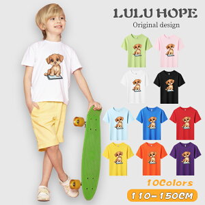 tVc LbY j̎q ̎q ǂ jZbNX q ʁ@D@ۈ牀 ^ ct ւ  ĕ 110|150@ Y fB[X  Rbg Jbg\[ uh 