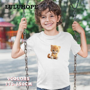 uX[p[SALEzv tVc LbYTVc L@˂D@ j̎q ̎q ǂ lR@jZbNX q 킢vg fUCTVc @110|150@^ 